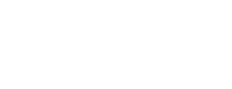 Logo white